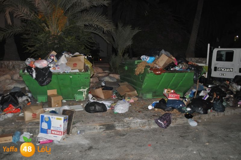 trash lud 907 (29).JPG